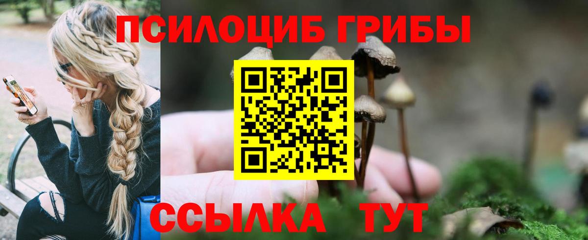 Псилоцибиновые грибы Psilocybe  Вход с VPN  Жигулёвск 