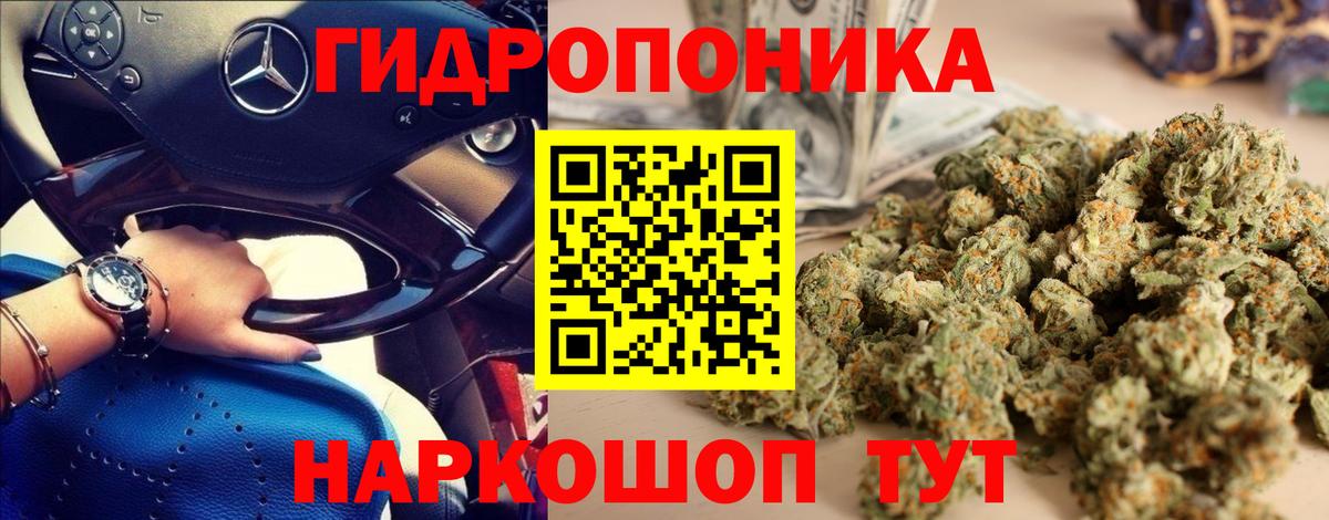 Марихуана конопля  Канабис индика  Конопля Bruce Banner  Вход с VPN  Жигулёвск  Бошки марихуана планчик 
